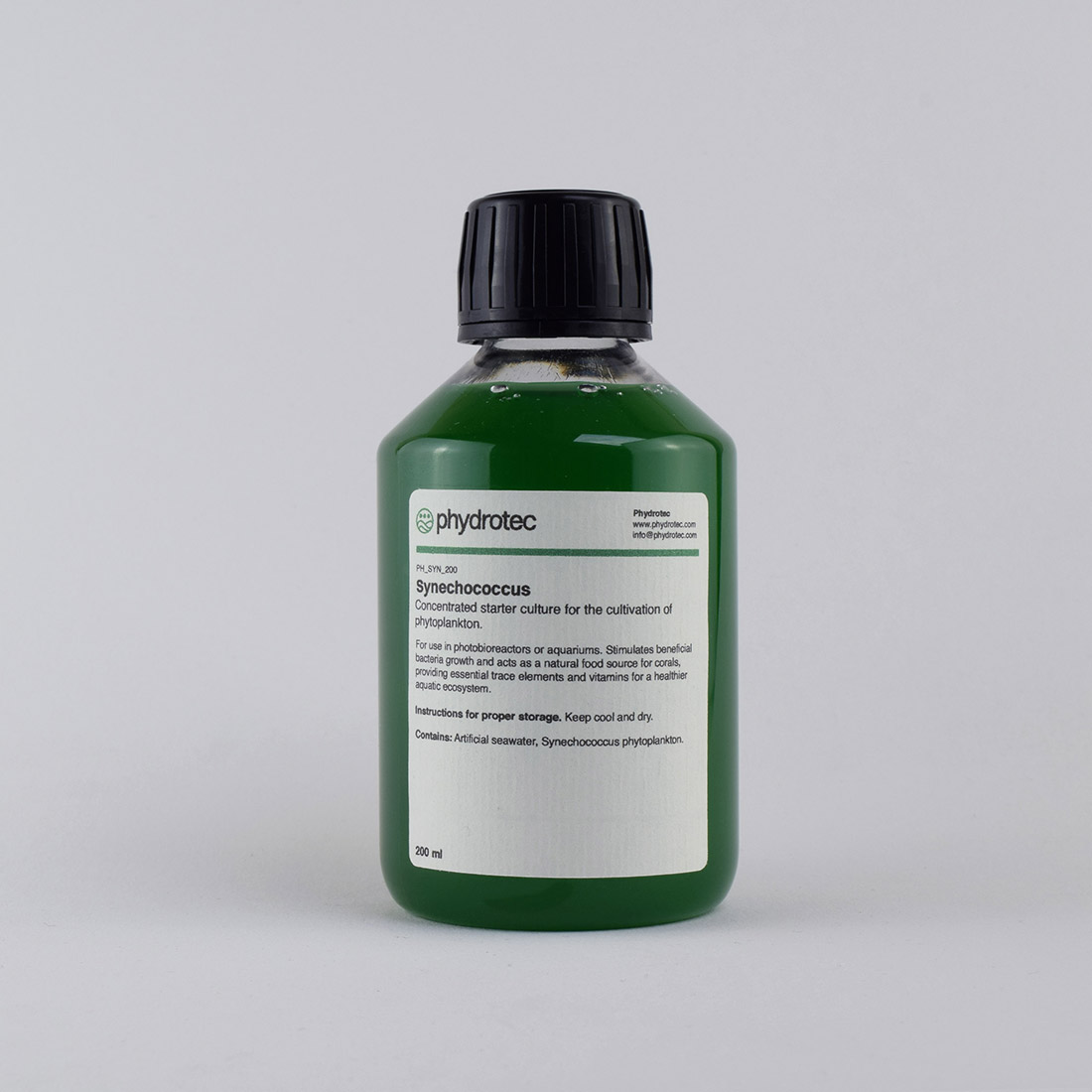 Lebendes Synechococcus-Phytoplankton