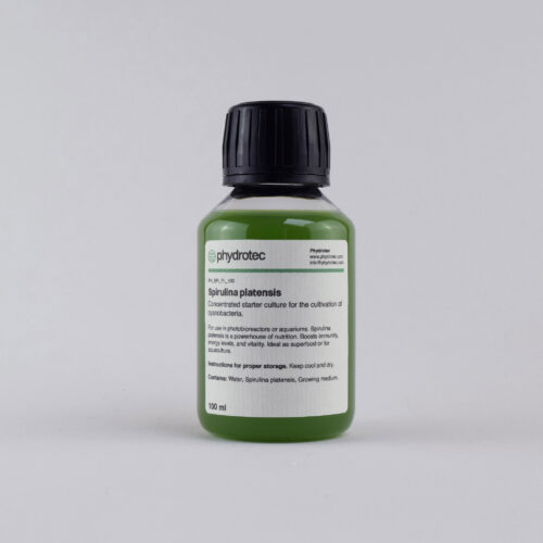 Lebende Spirulina platensis Cyanobakterien-Starterkultur - 100 ml
