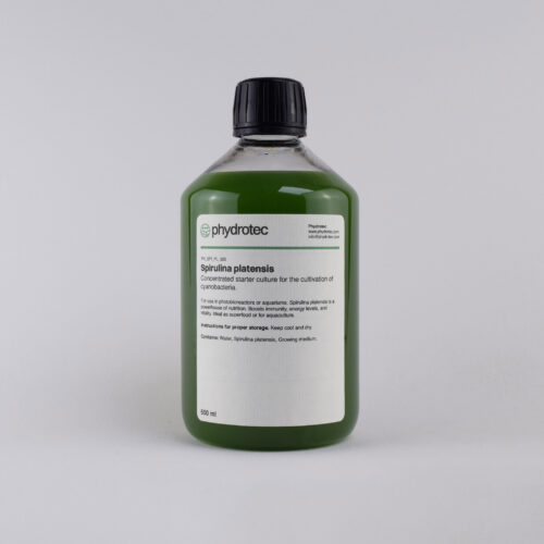 Lebende Spirulina platensis Cyanobakterien-Starterkultur - 500 ml
