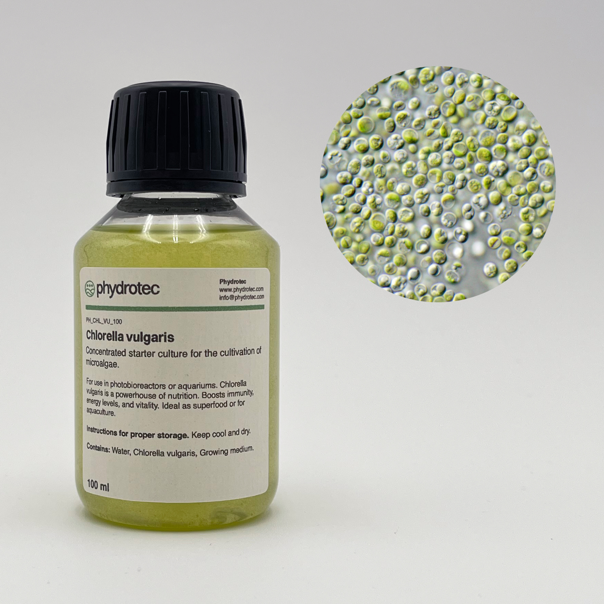 Lebende Chlorella Vulgaris Algenkultur - 100 ml