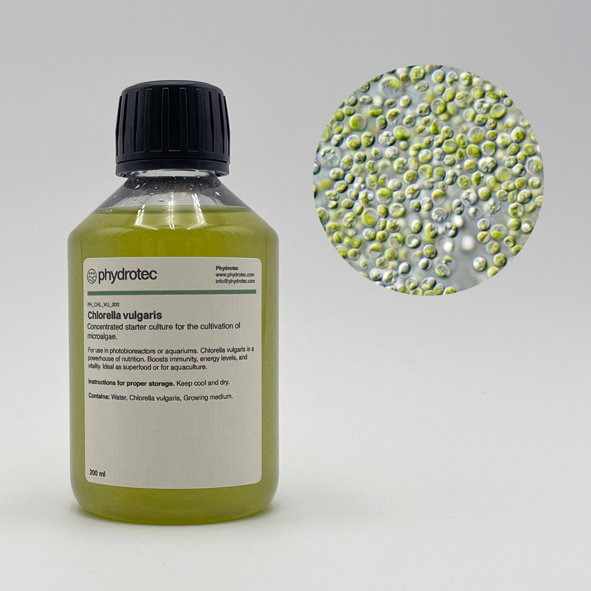 Lebende Chlorella Vulgaris Algenkultur - 200 ml