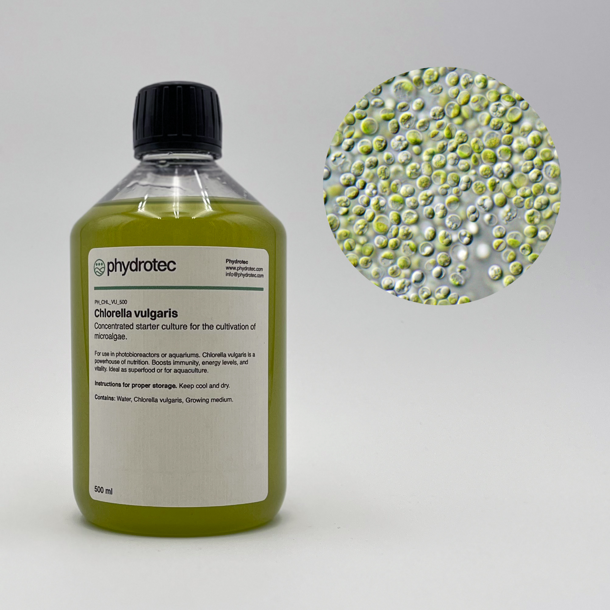 Lebende Chlorella Vulgaris Algenkultur - 500 ml